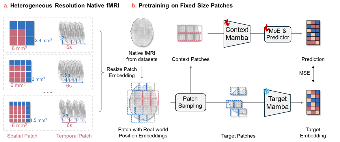 FlexiBrain framework