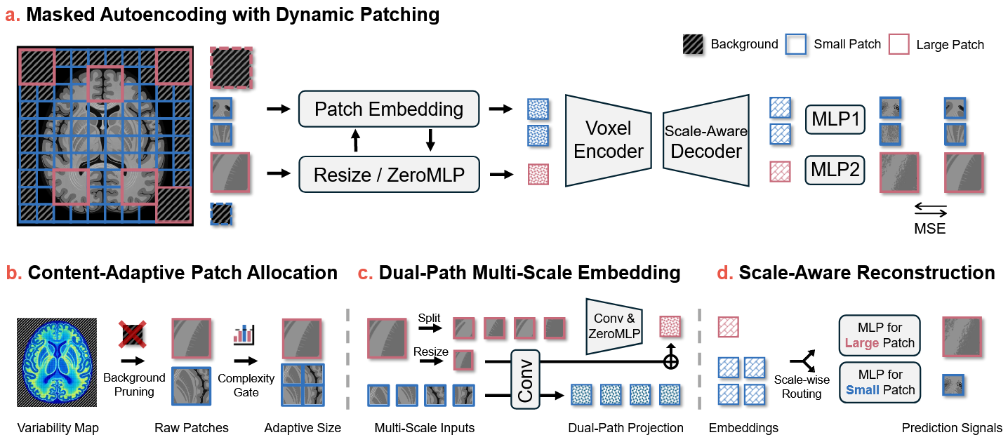 Omni-fMRI framework